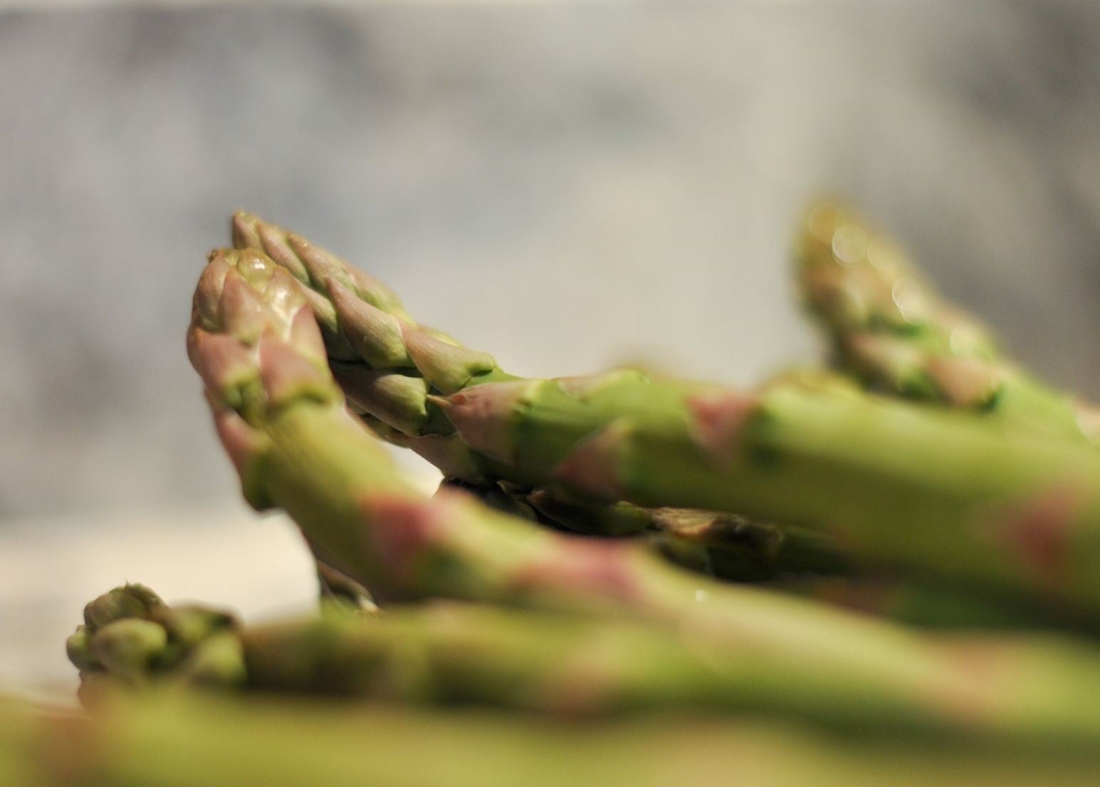 asparagus business plan